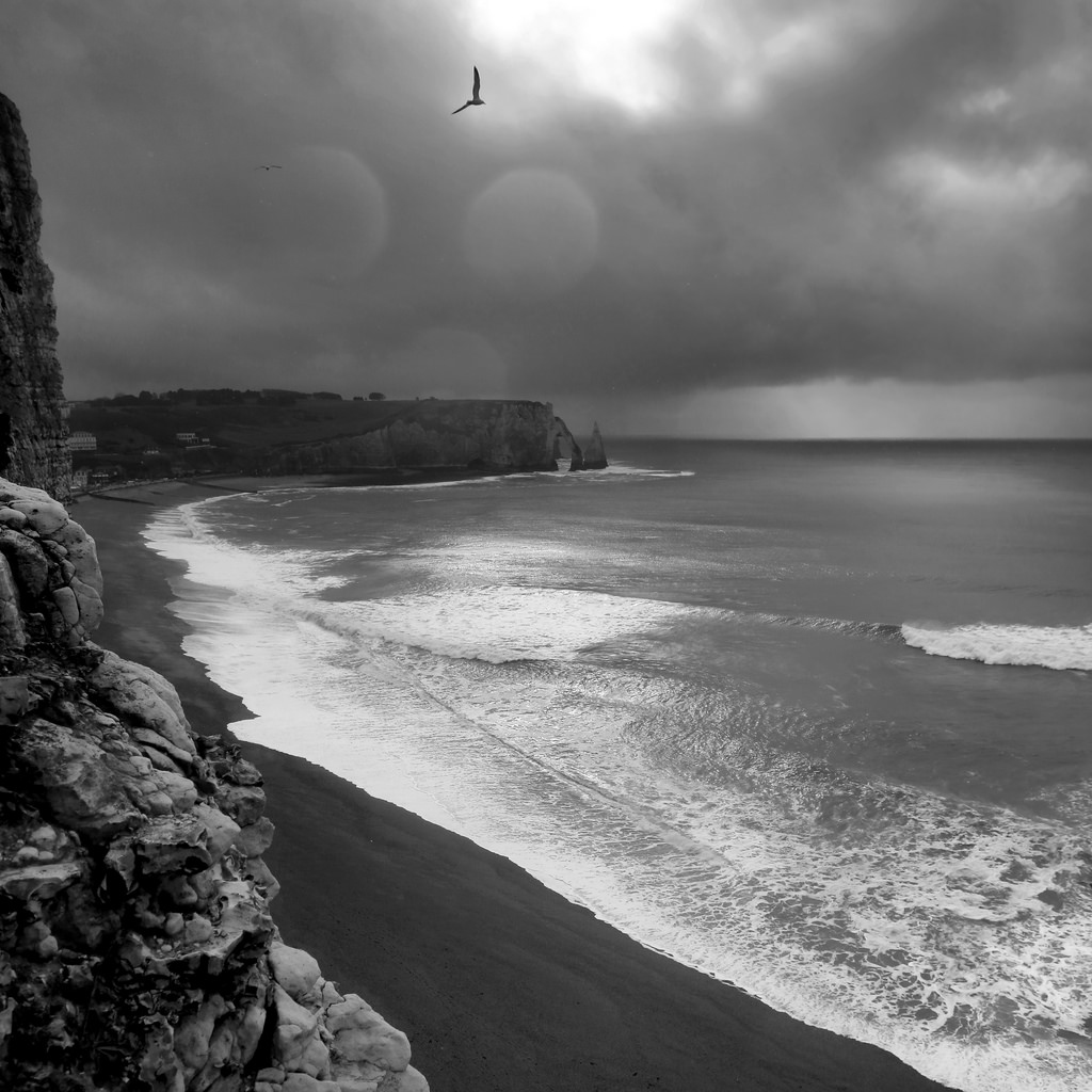 bird along coast, Mary Oliver storm, Laurent Delfraissy Photograph