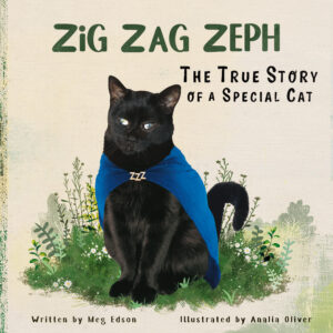 Zig Zag Zeph book cover